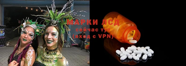 ешки Вязьма