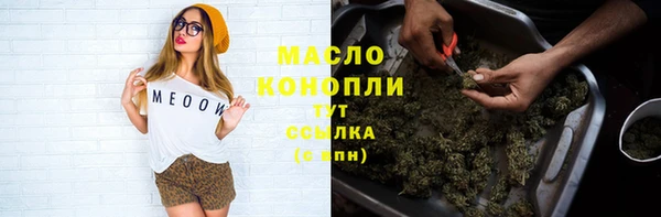 ешки Вязьма