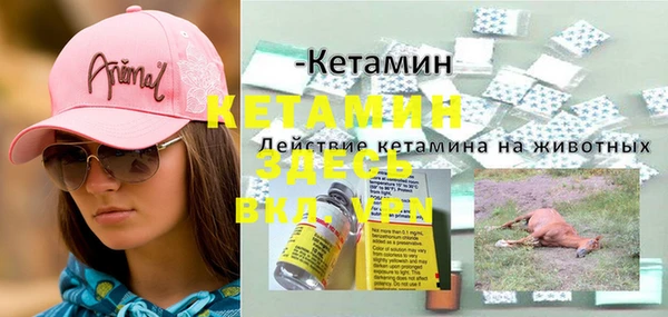 сатива Елизово