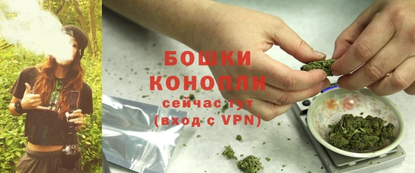 гидропоника Вяземский